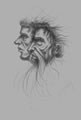Michael Hensley Drawings, Human Heads 3